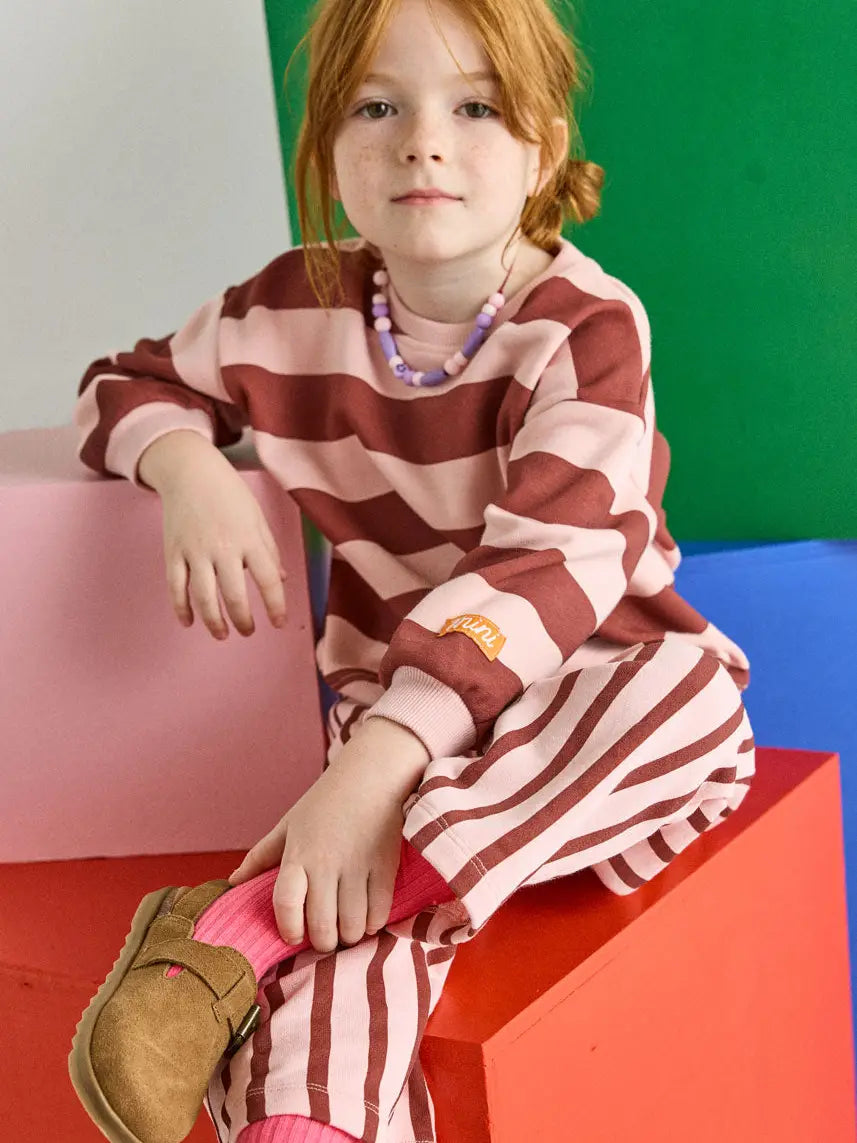 Striped Sweatshirt - Burgundy & Pink