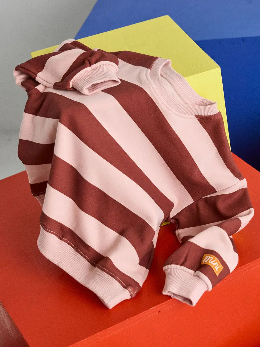 Striped Sweatshirt - Burgundy & Pink