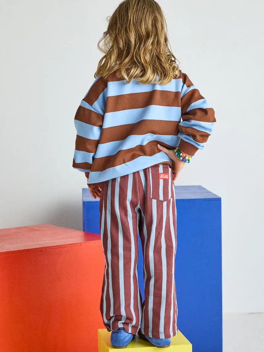 Striped Sweatshirt - Light Blue & Brown