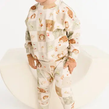 Hedgehog Patchwork Crewneck Set